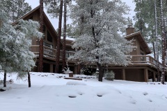 Side Vaulted Roof in Snow