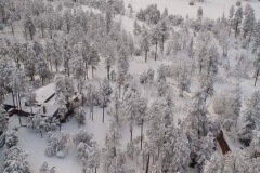 Eagles Retreat in the Snow