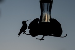Outside-Porch-Hummingbird-Feeder-at-Dusk-Closeup