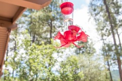 Outside-Porch-Hummingbird-Feeder